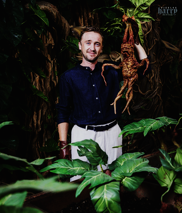 Foto de harry_potter