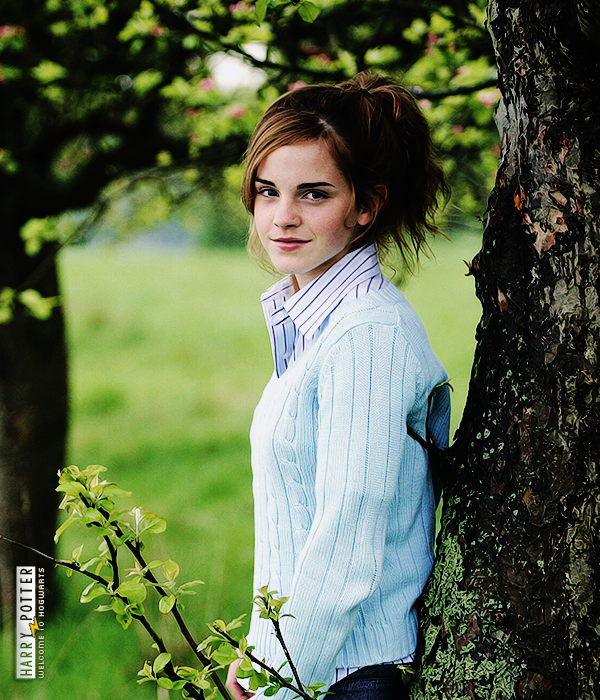 Foto de harry_potter