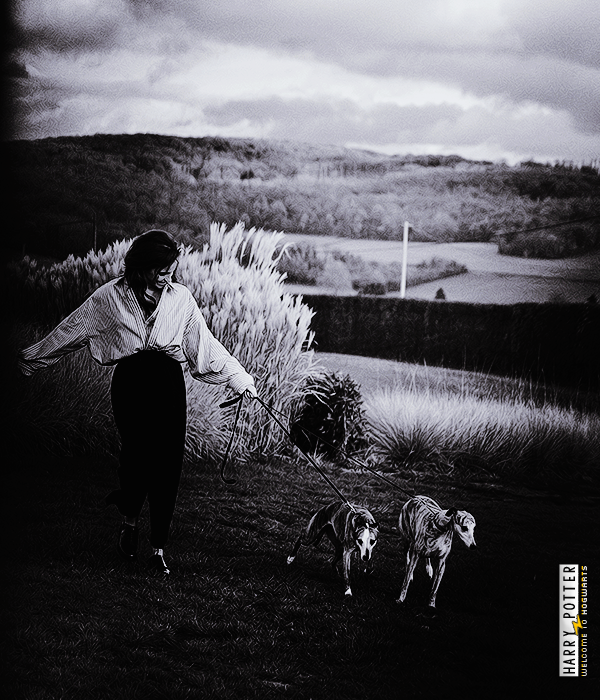 Foto de harry_potter