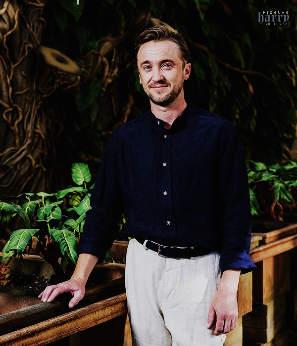 Foto de harry_potter