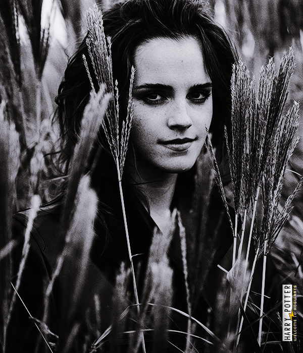 Foto de harry_potter