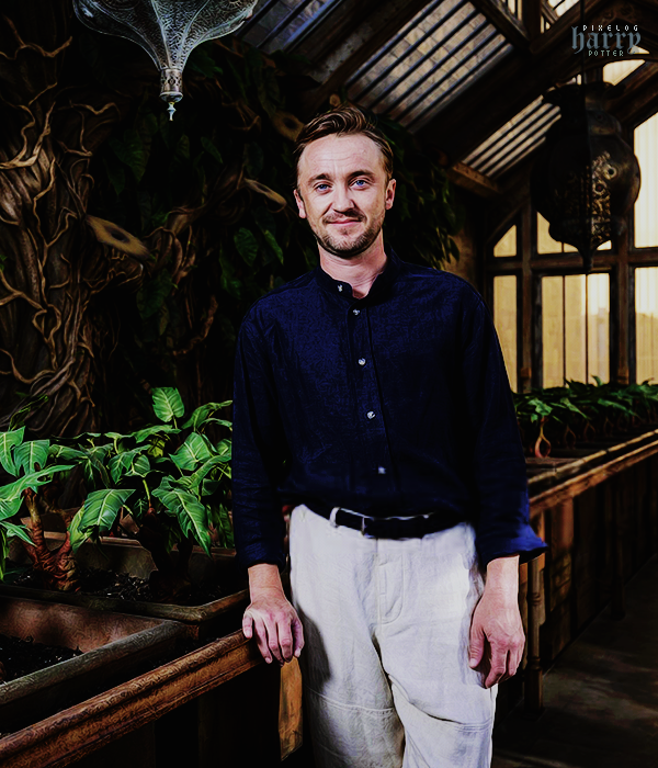 Foto de harry_potter