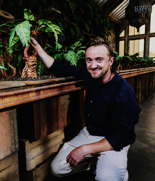 Foto de harry_potter