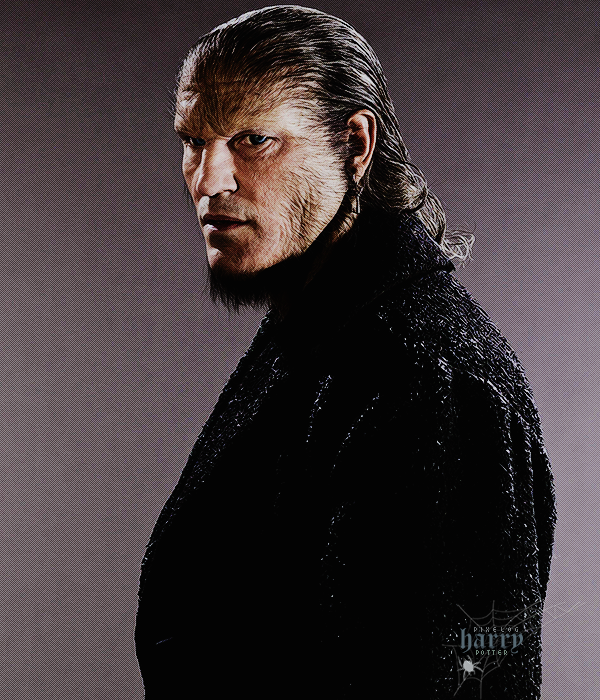 Foto de harry_potter