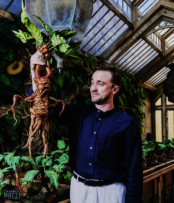 Foto de harry_potter