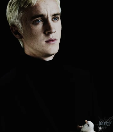 Imagem recente de harry_potter