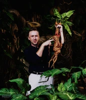 Imagem recente de harry_potter