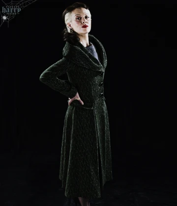 Imagem recente de harry_potter