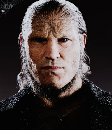 Imagem recente de harry_potter