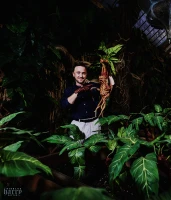 Imagem recente de harry_potter