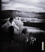 Imagem recente de harry_potter