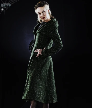 Imagem recente de harry_potter