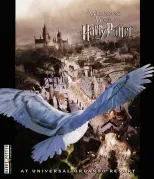 Imagem recente de harry_potter