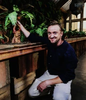 Imagem recente de harry_potter