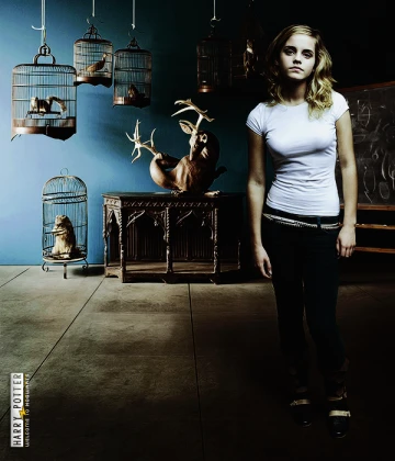 Imagem recente de harry_potter