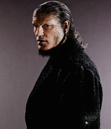 Imagem recente de harry_potter