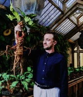 Imagem recente de harry_potter