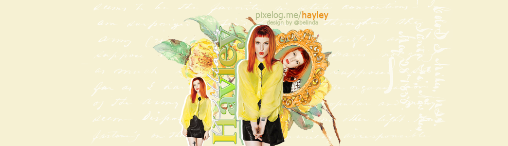 Banner do hayley