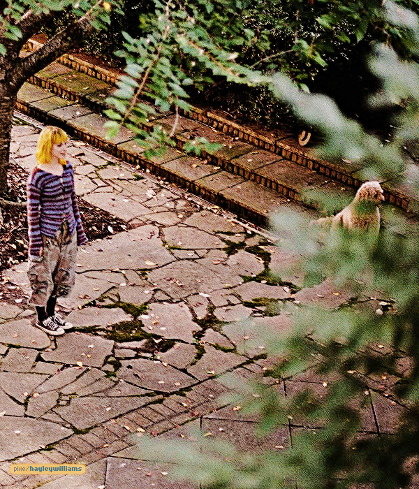 Foto de hayleywilliams