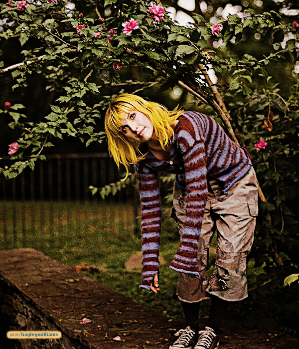Foto de hayleywilliams