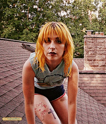 Imagem recente de hayleywilliams