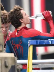 Imagem recente de holland