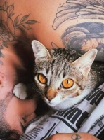 Imagem recente de itallo