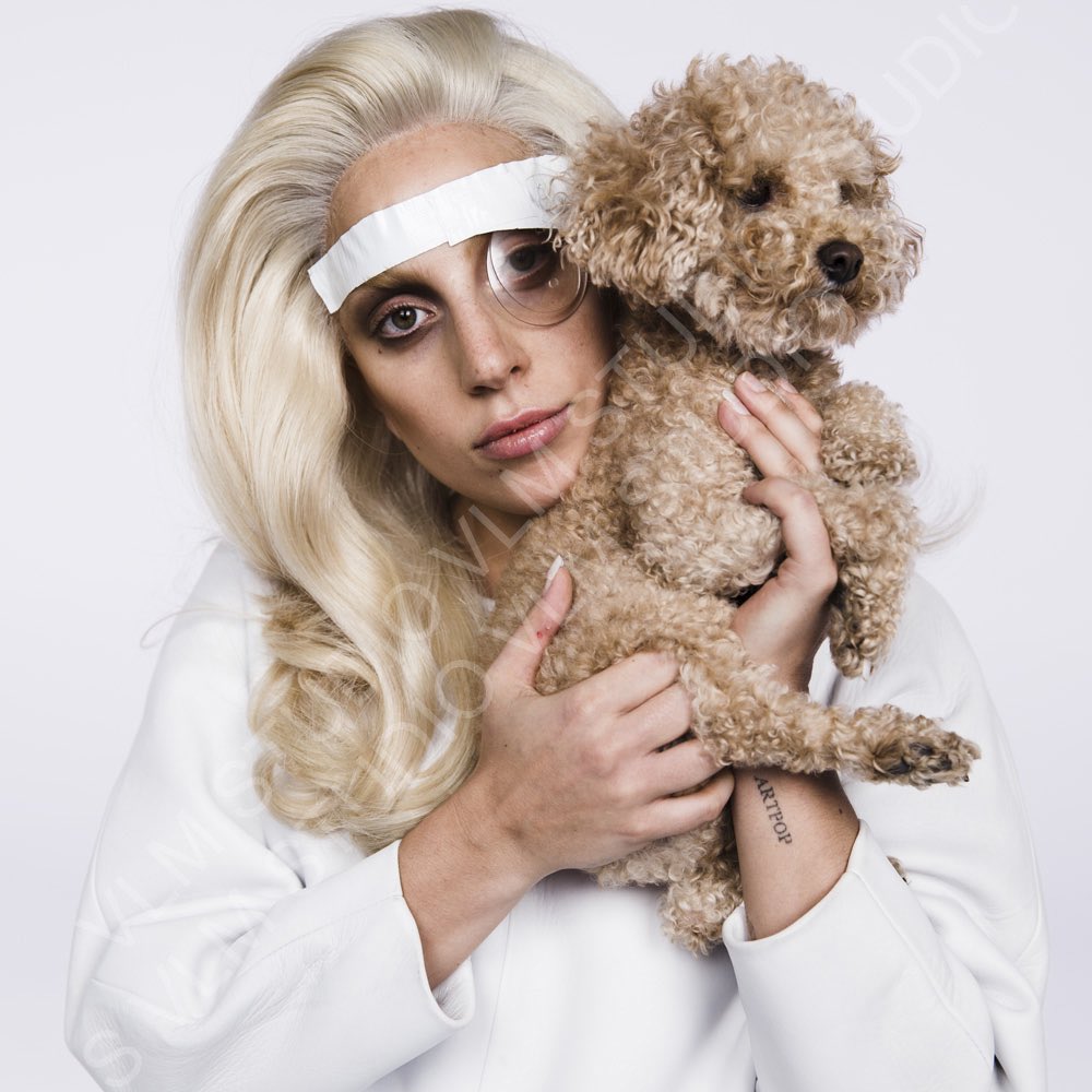 Foto de lady-gaga
