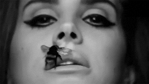 Imagem recente de lana