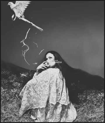 Imagem recente de larosalia