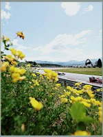 Imagem recente de leclerc