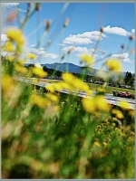 Imagem recente de leclerc