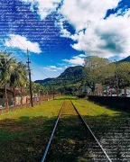 Imagem recente de leocerutti