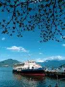 Imagem recente de leocerutti