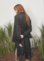 Imagem recente de lisa