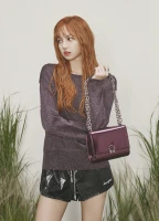 Imagem recente de lisa