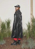 Imagem recente de lisa