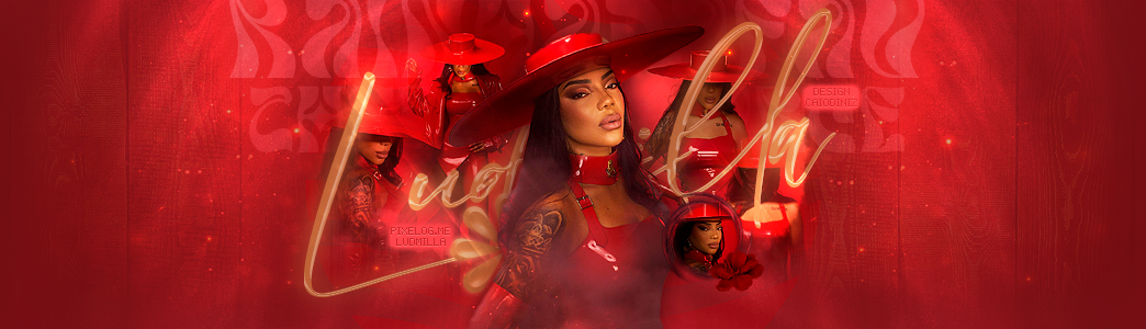 Banner do ludmilla