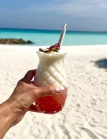 Imagem recente de nicolescherzinger