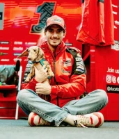 Imagem recente de pecco