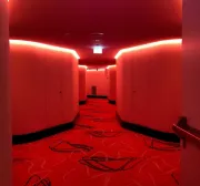 Imagem recente de pedru