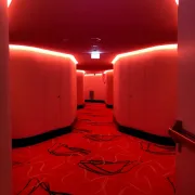 Imagem recente de pedru