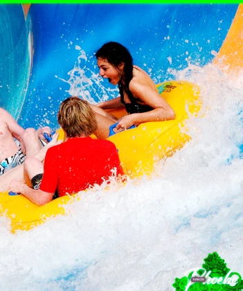 Imagem recente de phoebetonkin