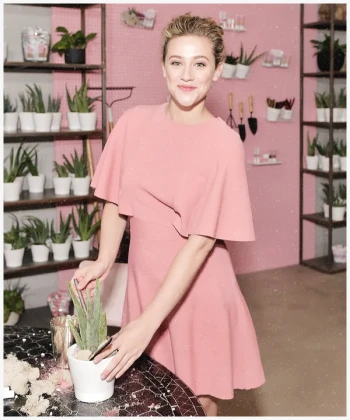 Imagem recente de reinhart