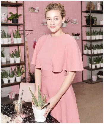 Imagem recente de reinhart