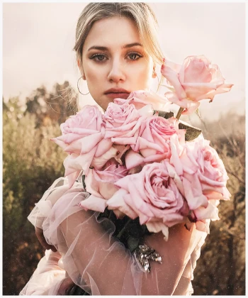 Imagem recente de reinhart