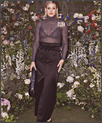 Imagem recente de reinhart