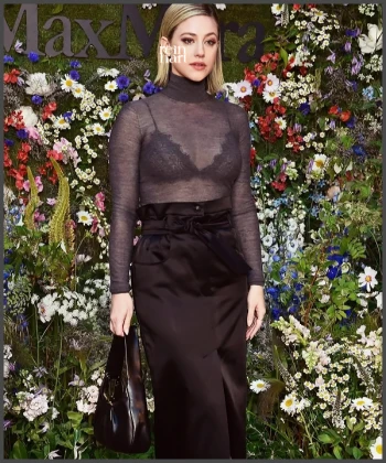 Imagem recente de reinhart