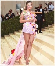 Imagem recente de reinhart