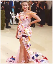 Imagem recente de reinhart